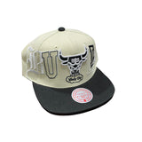 Mitchell & Ness Nba Chicago Bulls Hype Type Snapback (Cream/Black)