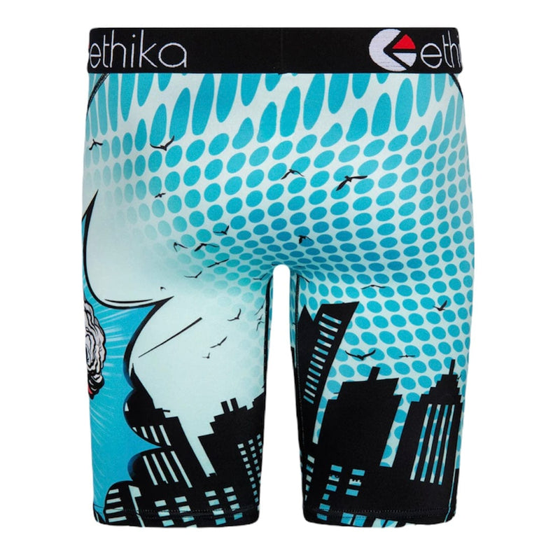 Ethika Whats Next Underwear (Assorted) MLUS1880