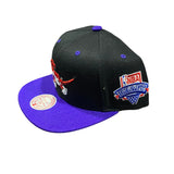 Mitchell & Ness Nba Hwc Toronto Raptors Lotto Pick Snapback (Black/Purple)