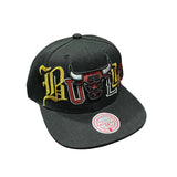 Mitchell & Ness Nba Chicago Bulls Hype Type Snapback (Black)