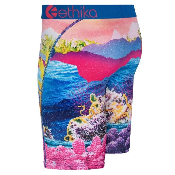 Ethika Sea Lettuce Underwear - MLUS2156