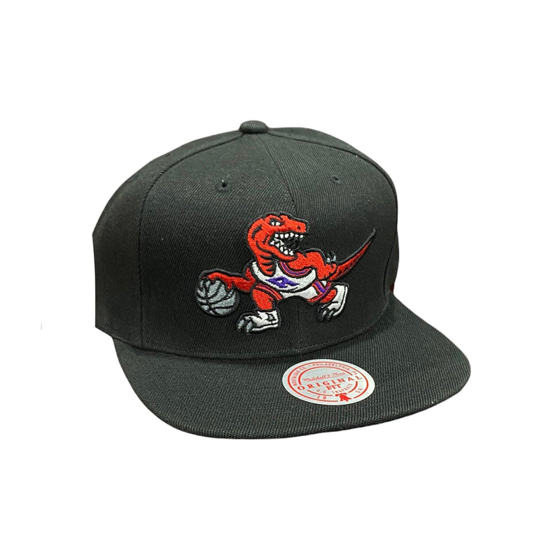 Mitchell & Ness Nba Hwc Toronto Raptors Core Basic Snapback (Black)